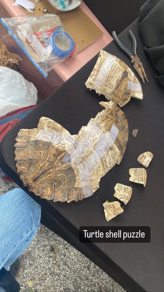 A65EEBBF-B2A3-4DB9-9BDB-CB28A32F2D9E